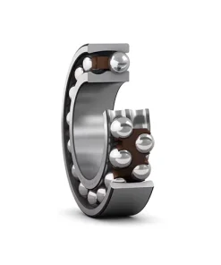 بلبرینگ خود تنظیم دو طرفه 1213 SKF EKTN9